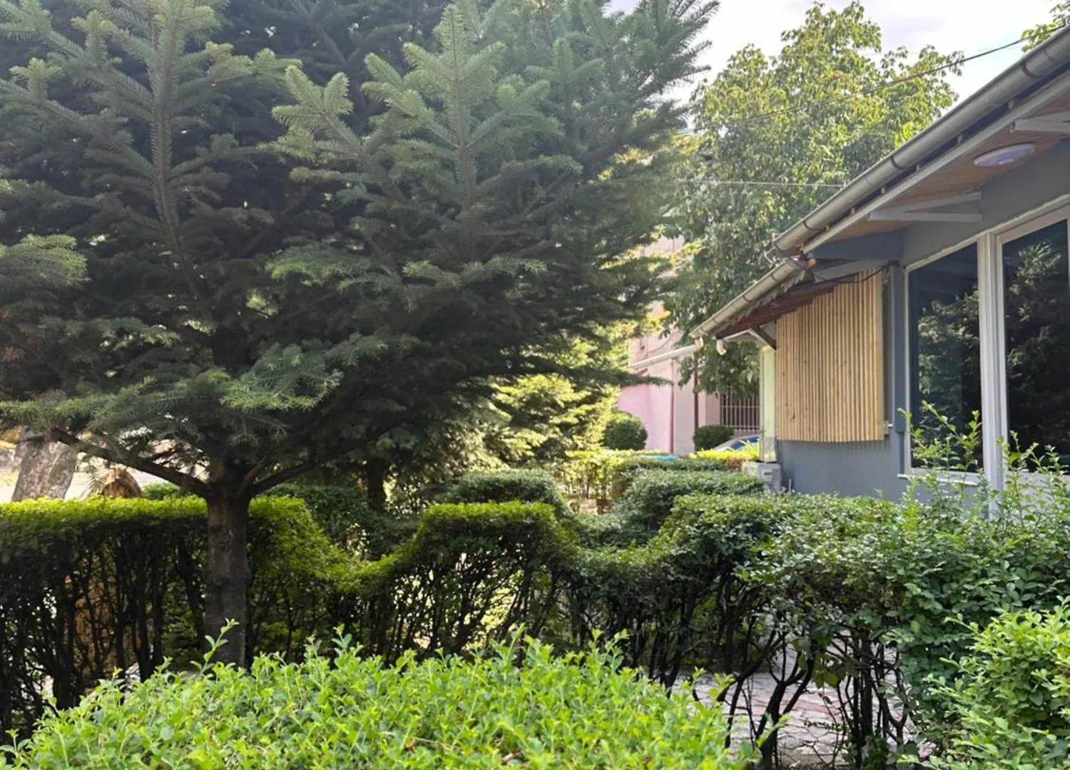 Dukati Guesthouse كورتشي شقة